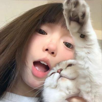 恐惧的马戏团封面